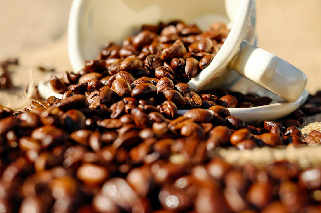 The Brew-tiful Connection: Coffee in the Age of Social Media and Influencer Marketing